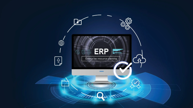 Enterprise Resource Planning Systems
