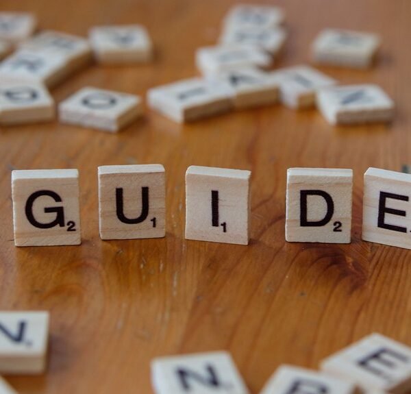 the complete guide for first time users