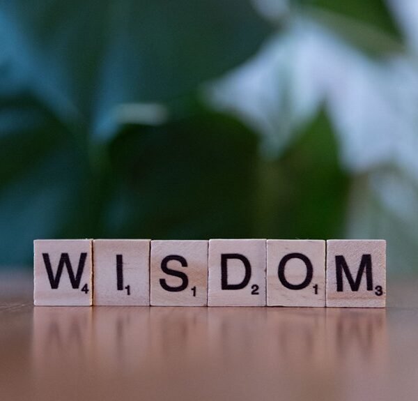 top reasons to learn 3024137472